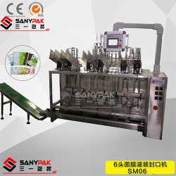 Six head filling machine